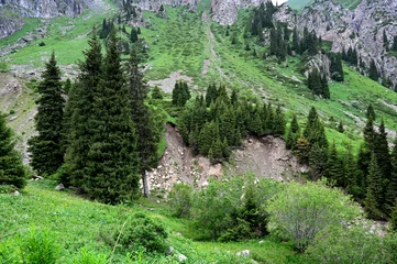 Fototapete Rund Mountains summer landscapes with fir tree on a foggy day. Almaty - Chimbylak © Colobus