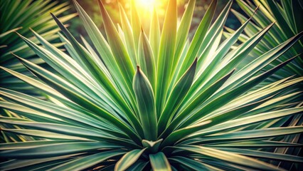 Fototapeta premium Lush Green Foliage Illuminated by Warm Sunlight A Detailed Close-Up of Vibrant Plant Life
