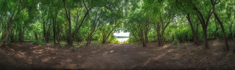 Fototapeta premium Serene Forest Pathway Leading to a River - Lush Green Trees and Tranquil Nature Scene