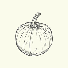 Pumpkin on a white background. Hand drawn vintage style. Vector illustration. Autumn. Halloween. Suitable for packaging design.