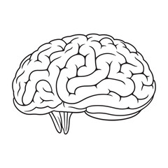 Brain coloring page vector illustration line art design