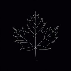 Minimalist Line Art Maple Leaf on Black Background