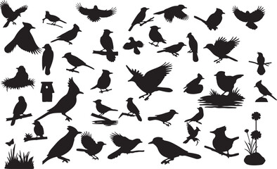 Vector Blue Jay Silhouette Collection
