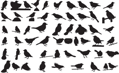Vector Catbird Silhouette Collection
