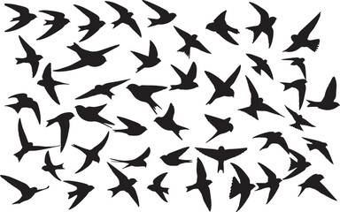 Vector Common Swift Silhouette Collection
