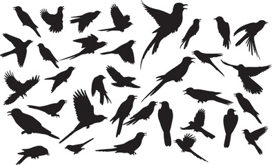 Vector Cuckoo Silhouettes Collection