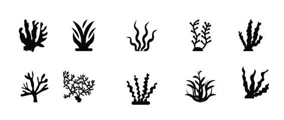 corals glyph icons vector illustration