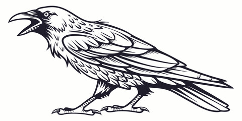Fototapeta premium Vector Crow Line Art, isolated white background