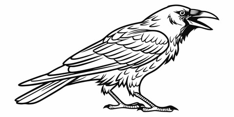 Fototapeta premium Vector Crow Line Art, isolated white background