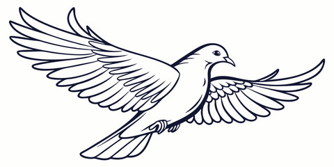 Obraz premium Vector Dove Line Art, isolated white background