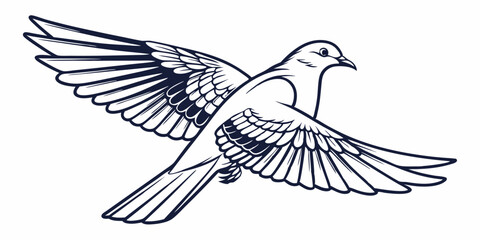 Obraz premium Vector Dove Line Art, isolated white background