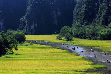 Take a scenic boat ride in Tam Coc with rice fields on both sides winding around the mountains from afar