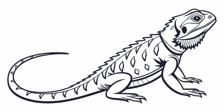 black and white bearded dragon reptile clip art preview