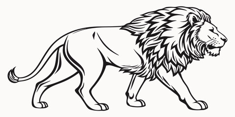 Vector Lion Line Art, isolated white background