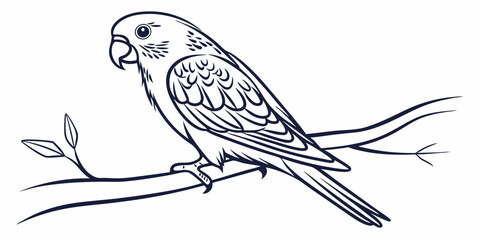 Fototapeta premium Vector Lovebird Line Art, isolated white background