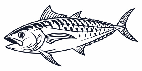 Fototapeta premium Vector Fish Mackerel Line Art, isolated white background