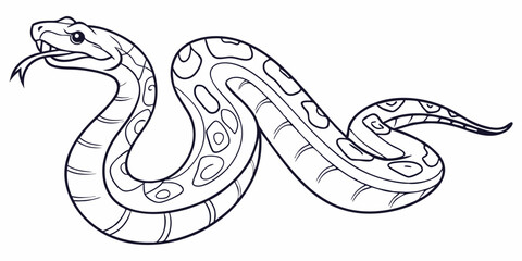 Vector Python Snake Line Art, isolated white background