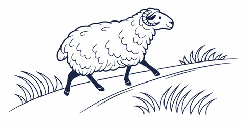 Vector Sheep Line Art, isolated white background