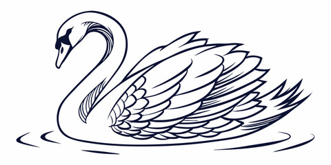 Fototapeta premium Vector Swan Line Art, isolated white background