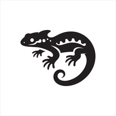 image of a dragon