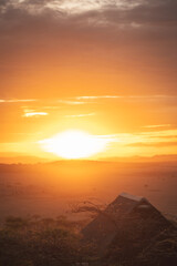 Adventures in the Serengeti savannah sunset to see the wilderness life