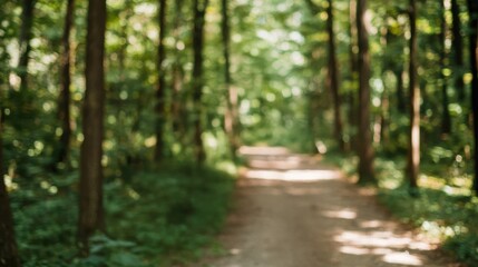 Naklejka premium Serene Pathway Through Lush Green Forest Surrounded by Tall Trees and Natural Light Filtering Through Leaves in a Peaceful Environment