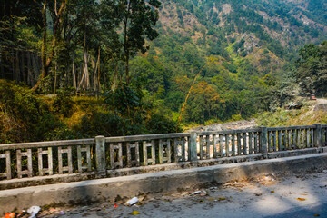 bridge in the forest in gangtok