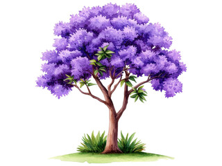 Obraz premium Beautifully Detailed Purple Tree with Lush Green Leaves Set Against a White Background