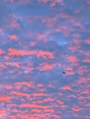 beautiful fierly  cloudy 

sunset