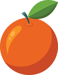 orange fruit vector illustration