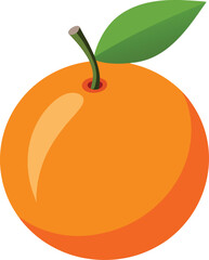 orange fruit vector illustration