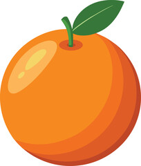 orange fruit vector illustration