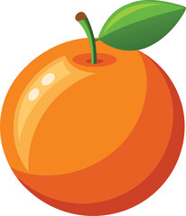 orange fruit vector illustration