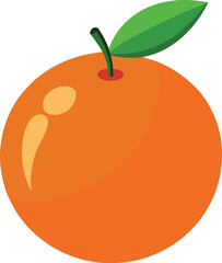 orange fruit vector illustration