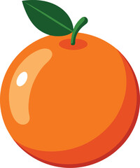 orange fruit vector illustration
