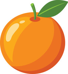 orange fruit vector illustration