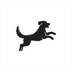 silhouette of a horse