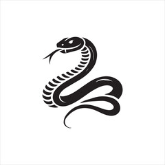 black and white snake