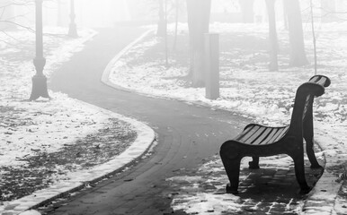 City park in the fog