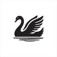 Fototapeta premium black swan with wings