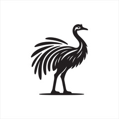 black and white bird on white