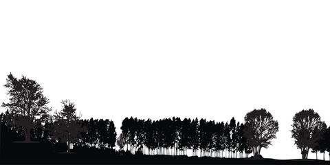 A black silhouette of forest trees against a white background
