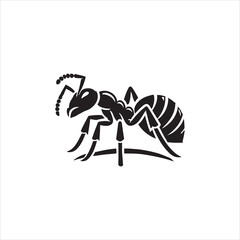 spider on a white background