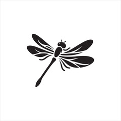 dragonfly on white background