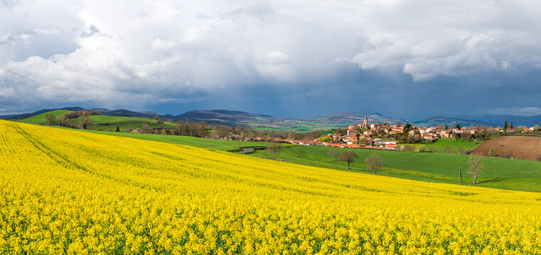 Village m&eacute;di&eacute;val fran&ccedil;ais sous le soleil, un champ de colza jaune au premier plan, ciel mena&ccedil;ant (panorama)