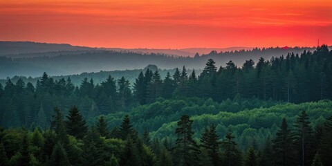 A vibrant sunset casts a fiery glow over a vast, layered forest, with tall evergreen trees silhouetted against the sky, creating a breathtaking scene of natural beauty.