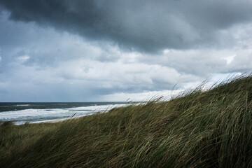 Stormy day on the Island of Sylt