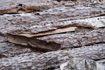 pine tree wooden slabs with bark background full frame picture