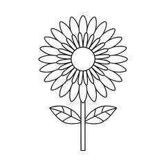 Clean Sunflower Line Art for Floral Graphics.