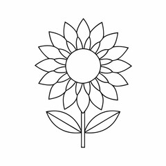 Clean Sunflower Line Art for Floral Graphics.
